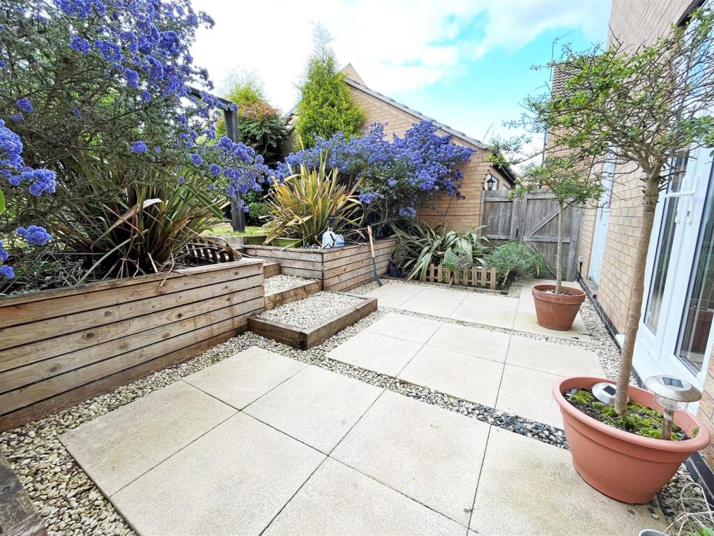 Patio Area