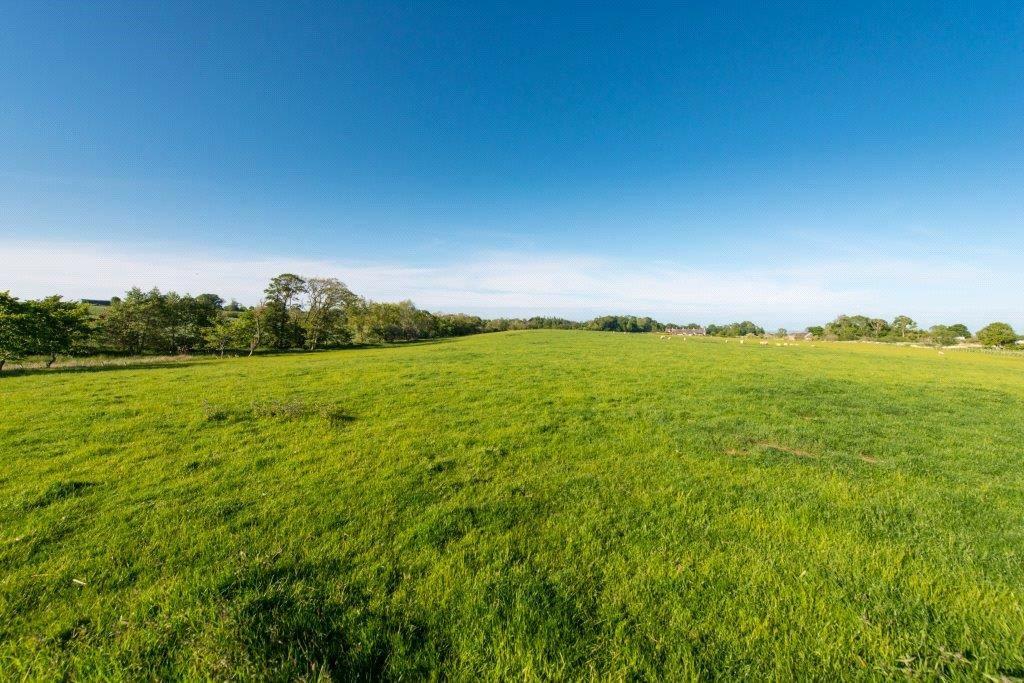 Lot 1 Land