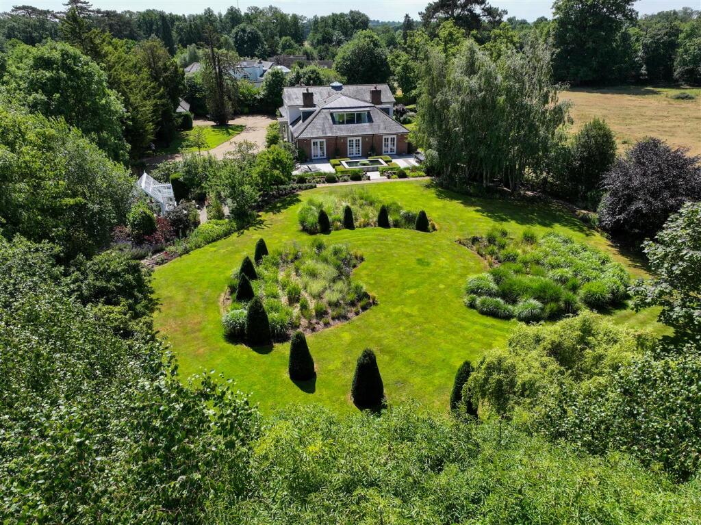 Full Garden.jpg