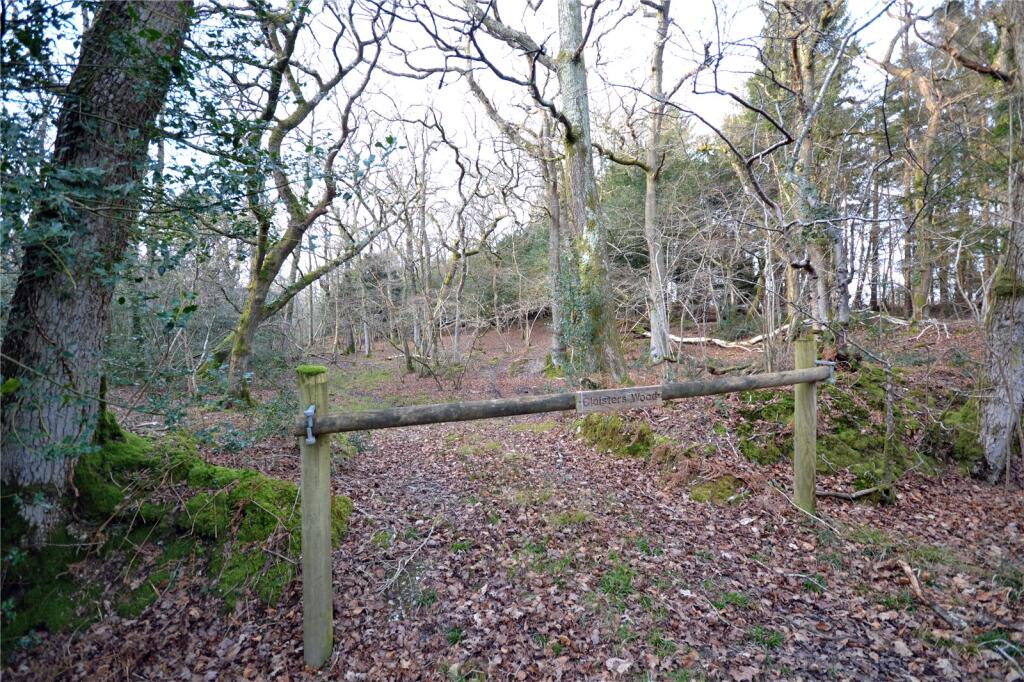 Cloisters Wood