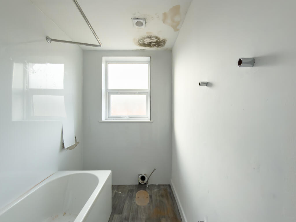 IMG 7463 2-2 T202511111839.jpg