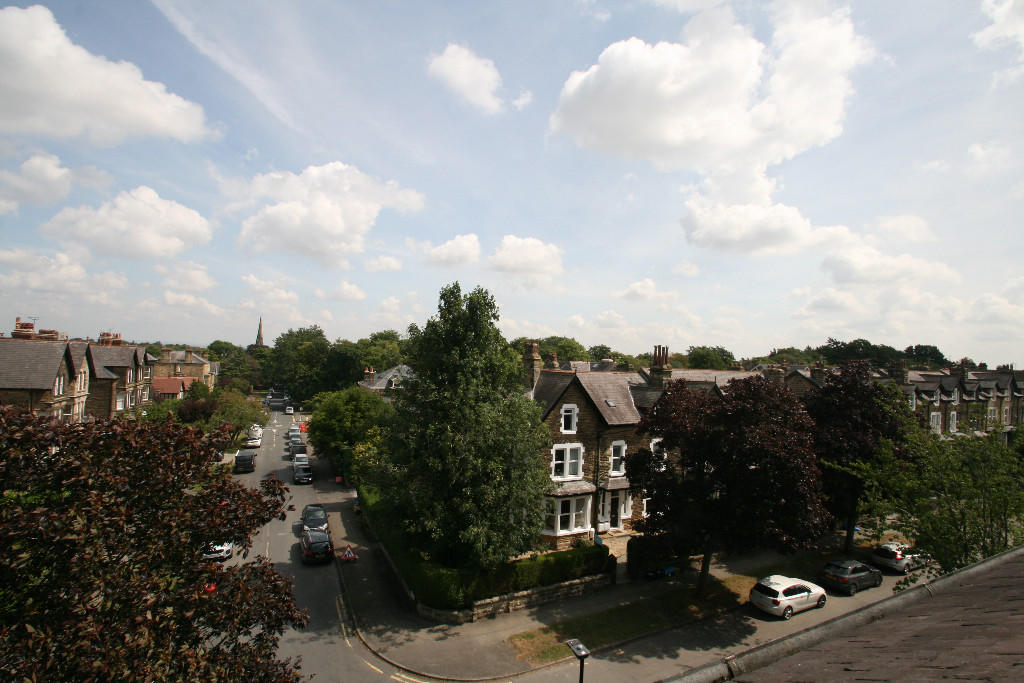 Front View