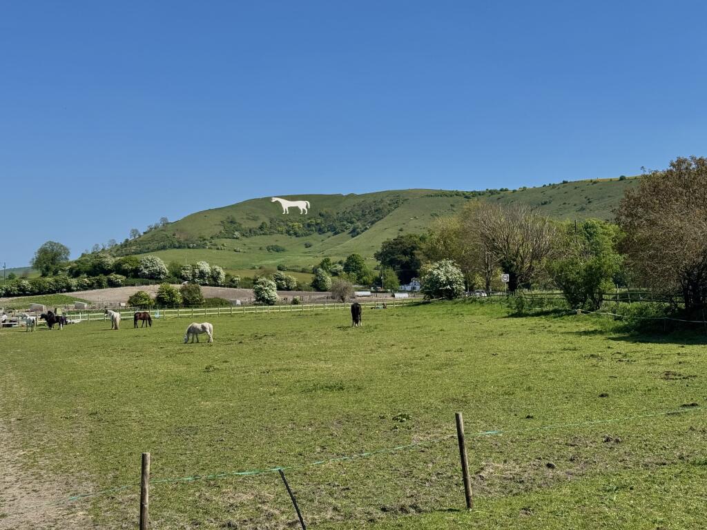 Westbury White Horse