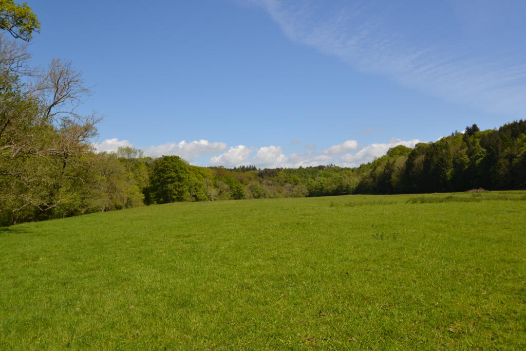Photo 05