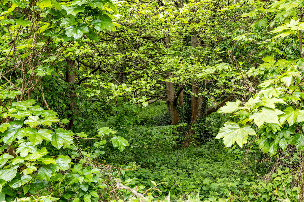 200ABHudds-070525...