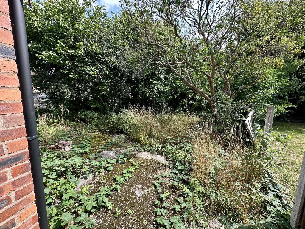 IMG 3076 T202507301745.jpeg