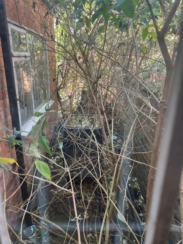 WhatsApp Image 2024-10-26 at 13.12.01.jpeg