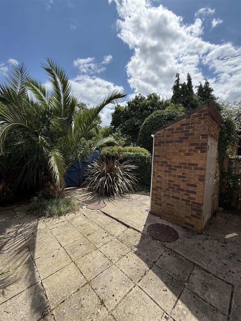 Back garden new.jpeg