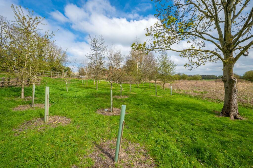 Amenity Land (Lot C)