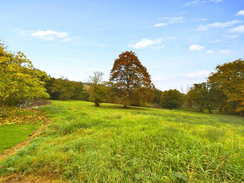 ADJACENT FIELD &amp; LAND