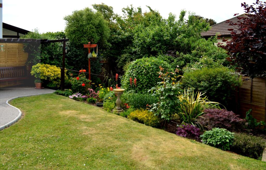 19 Currington Meadow rear garden June 25 - 2 jpg