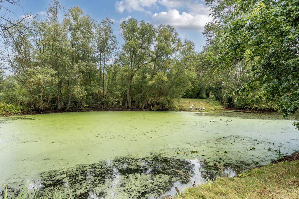 1350327-19-68c44f...