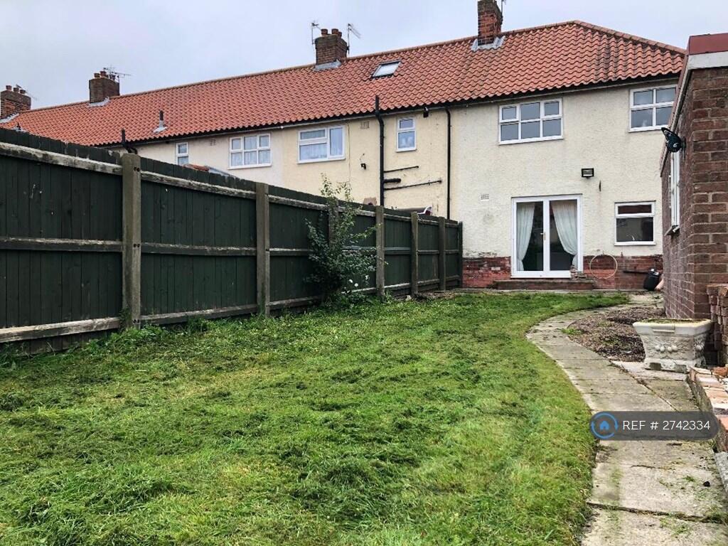 Back Garden