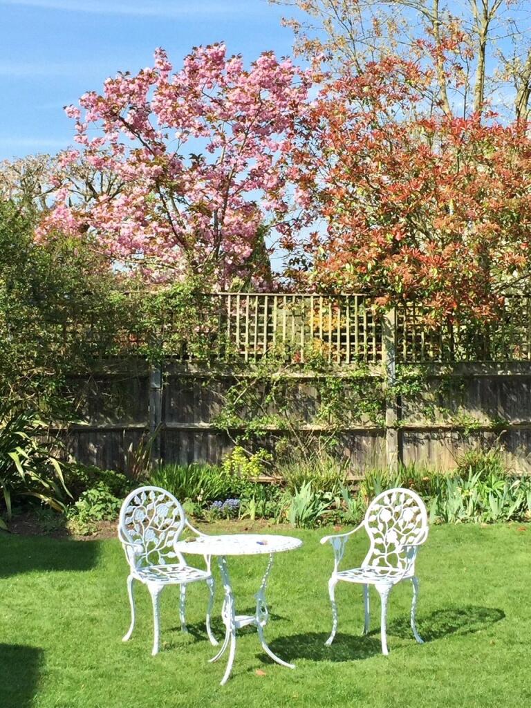 Summer Garden