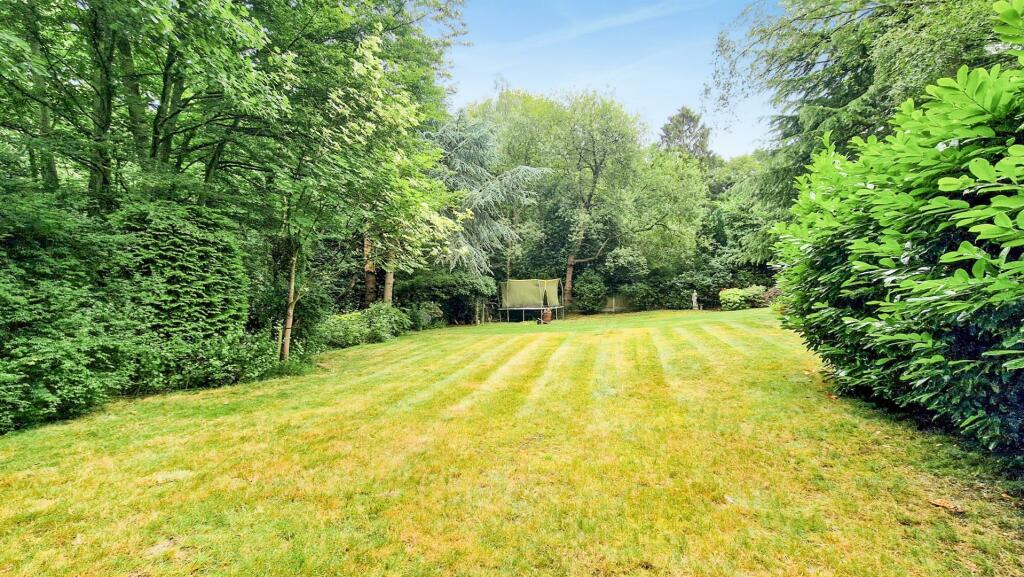 END OF GARDEN REVERSE.jpg
