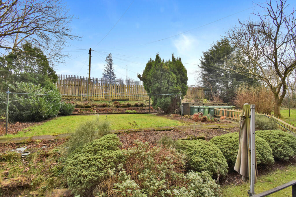 Garden.JPG