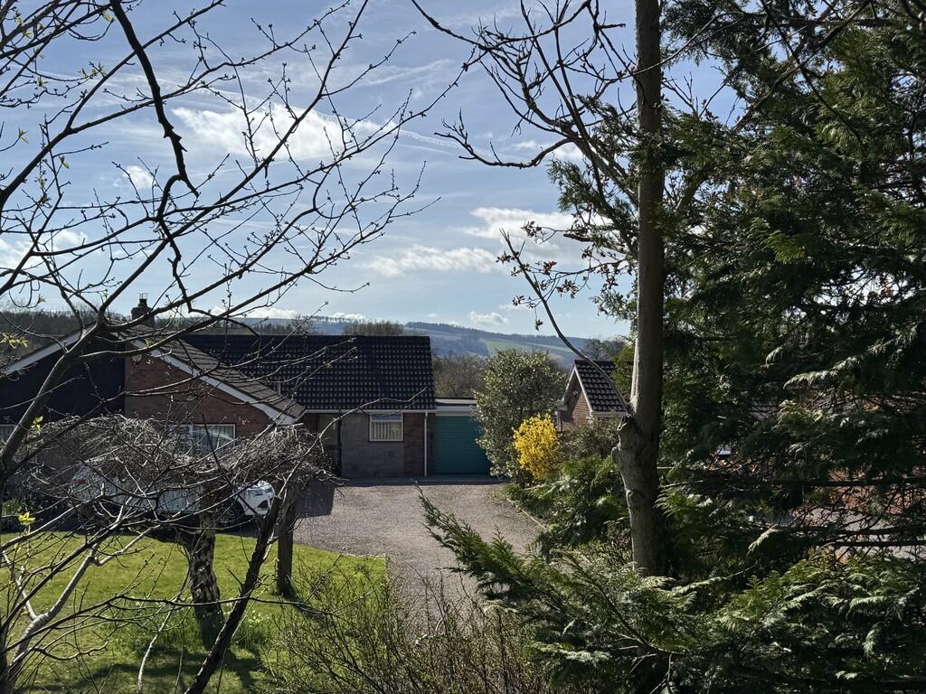 Outlloks from woo...