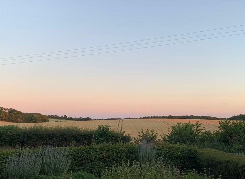 External Meadow View