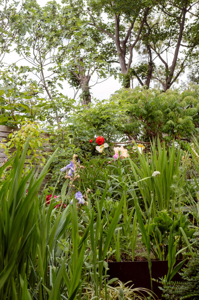 287593 - PeachumRoad_KElliott_056.jpg