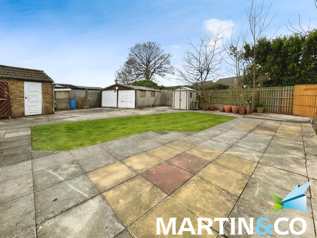 d8c5a0af-IMG-2025...