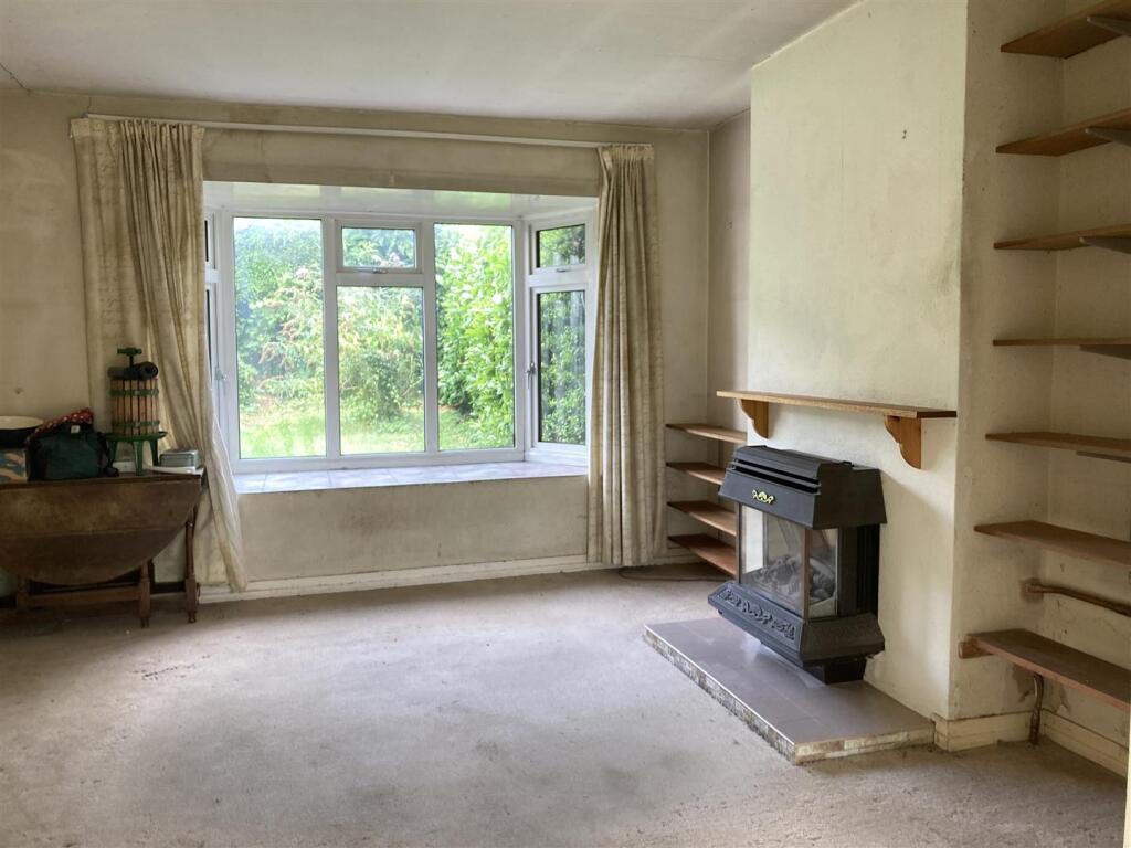 IMG_5329.JPG