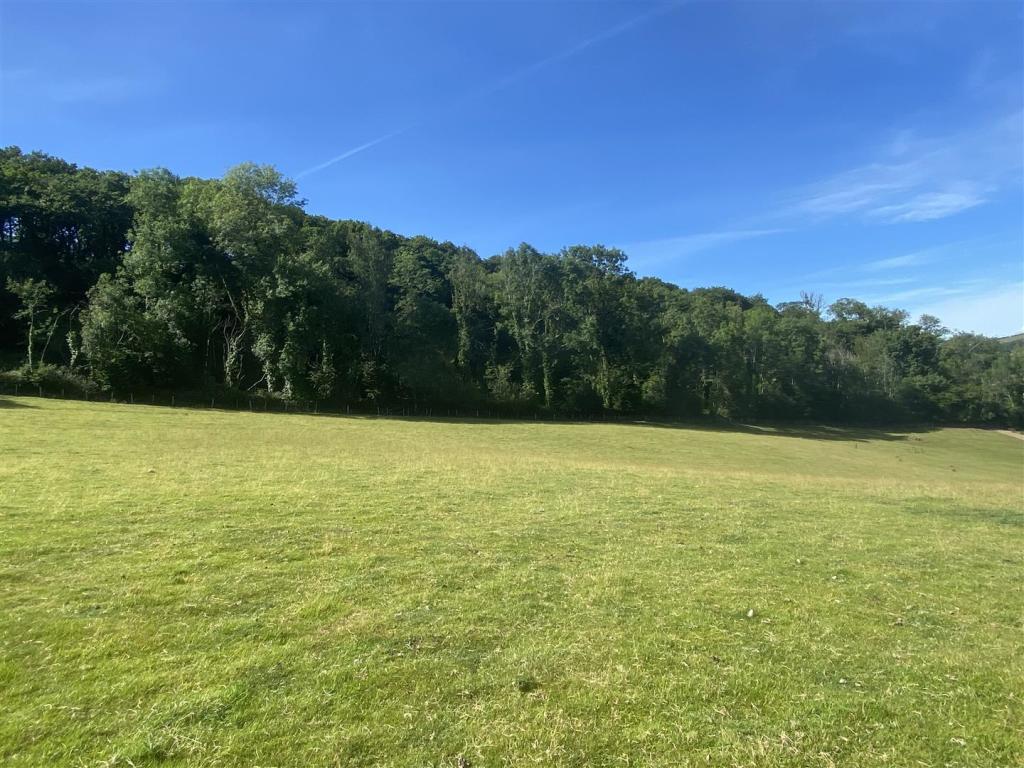 OPTIONAL WOODLAND