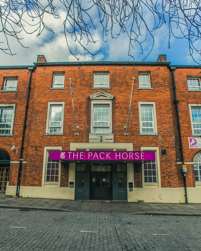packhorsetPack-Horse_11 (Large)_edited.jpg