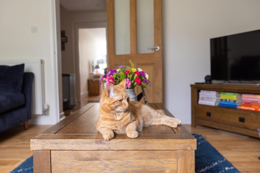 Flat 1, 17 Sydenham Hill, BS6-15.jpg