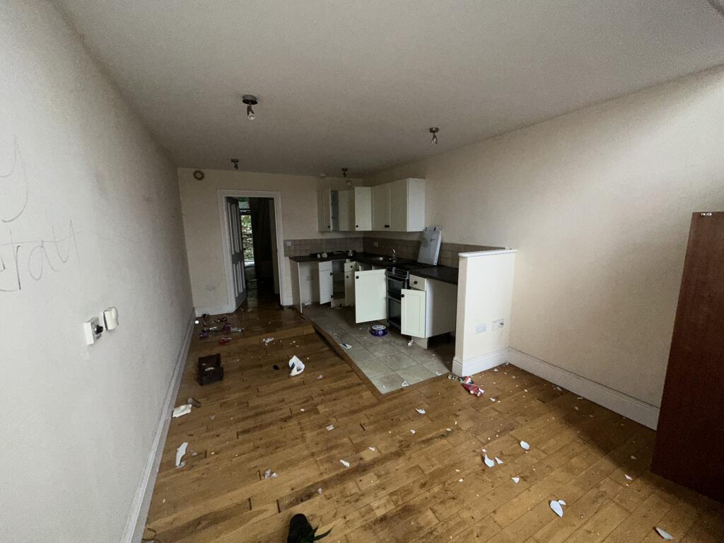 IMG 2466 T202503111604.jpeg