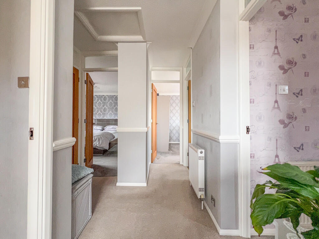 IMG_16942_18_larg...