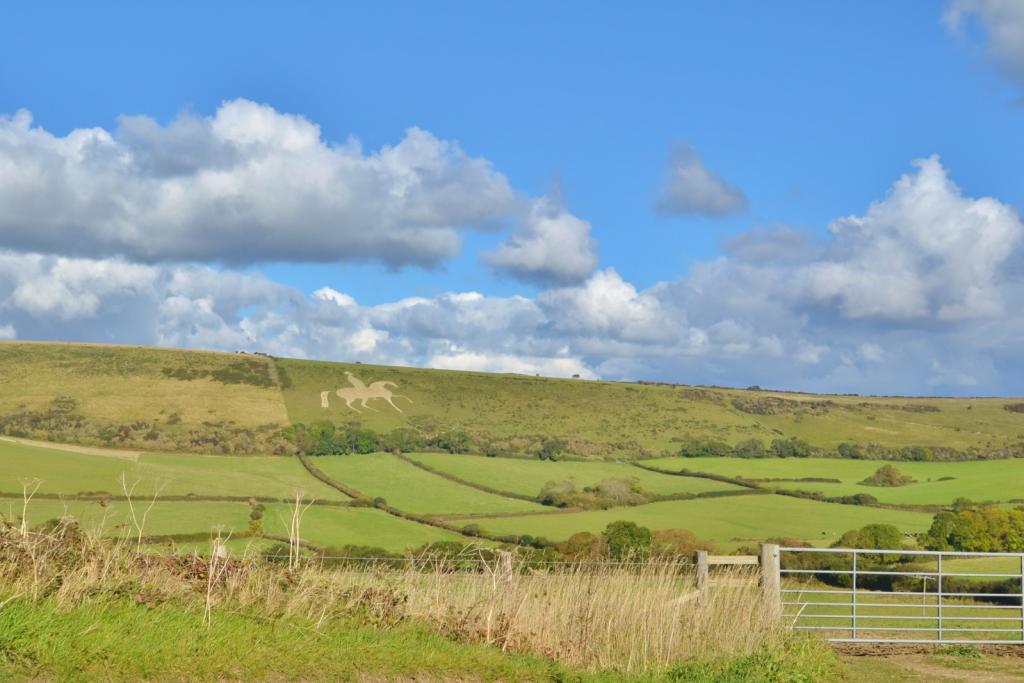 Local Area - White H