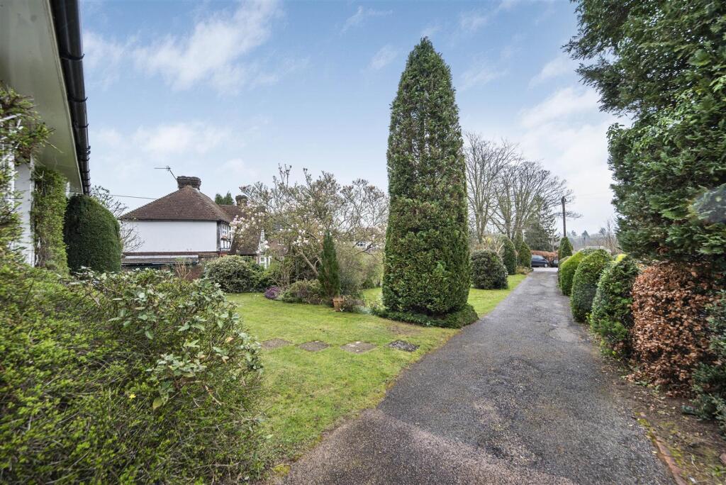 2024-03-26 16.42.43.JPG