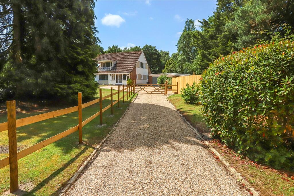 Picture No. 16