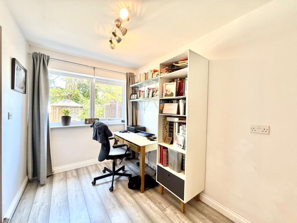 Study Area