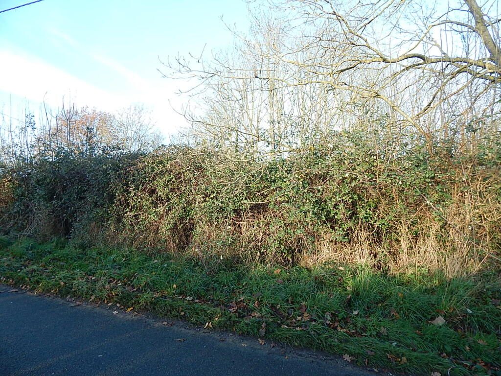 9 T202502241327.jpg
