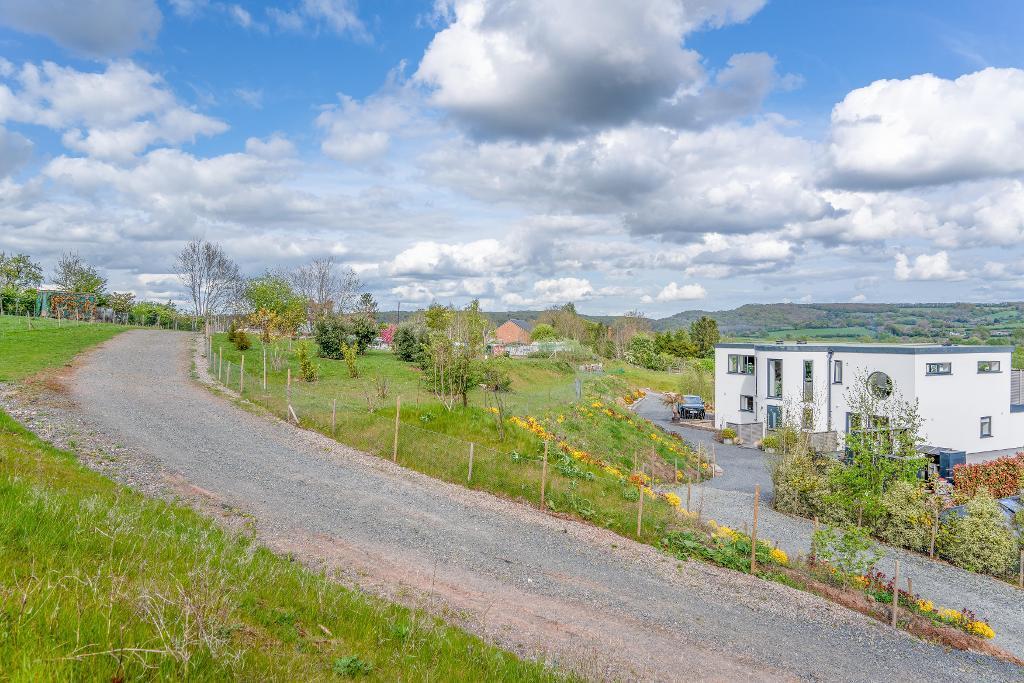 Driveway parking for eight cars