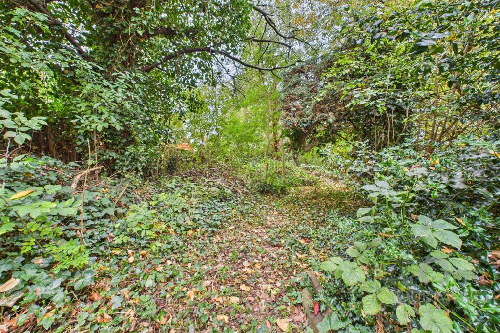 Woodland Garden