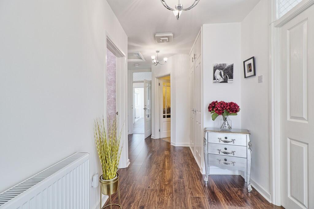 IMG_5342_3_4_easy...