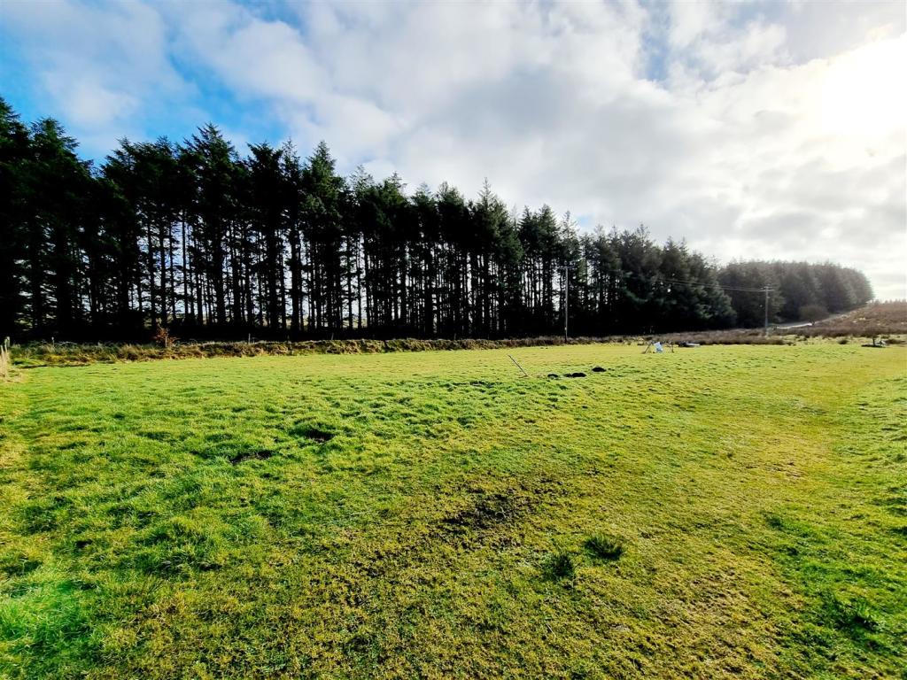 Bottom Field