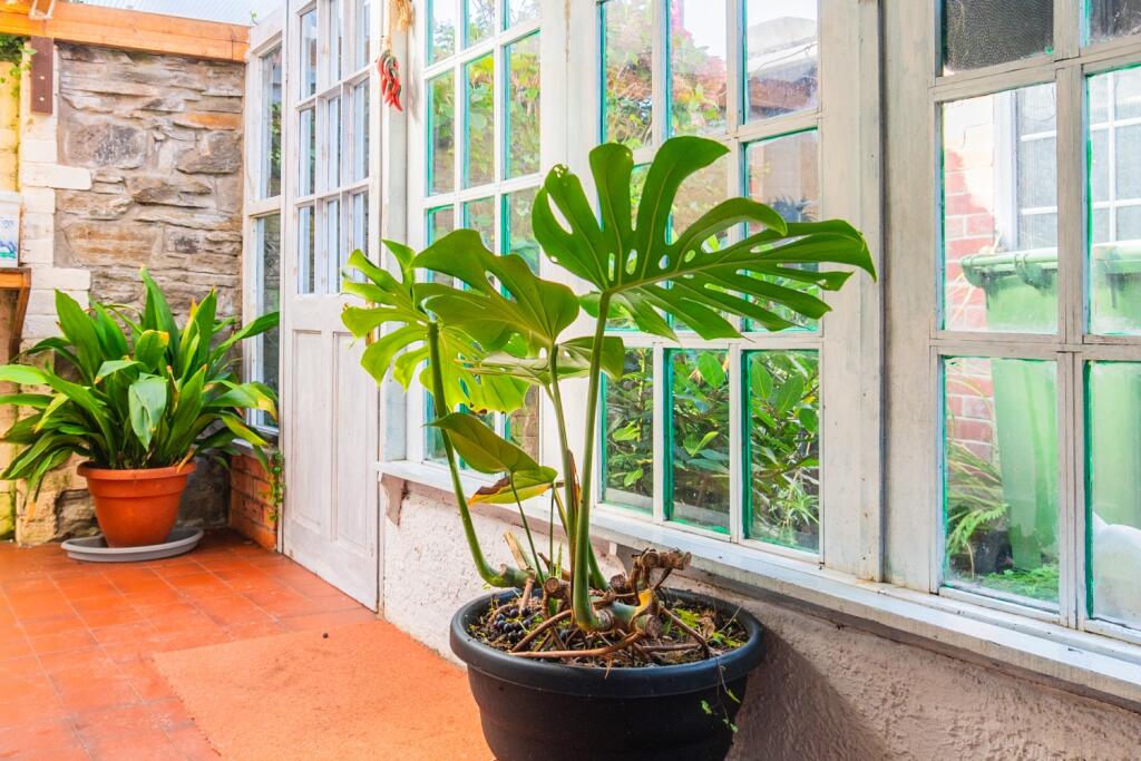 Call 02920 454555 to secure your viewing_26