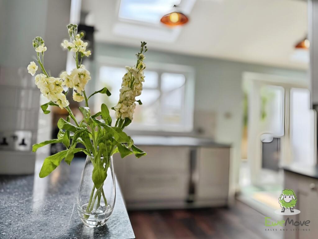 1b02cabc-bfe24d3b-2428-4ce5-a45b-f0c3efaa7ab1