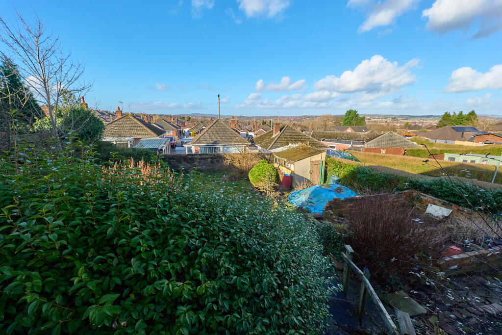 P1399024 T202502251801.jpg