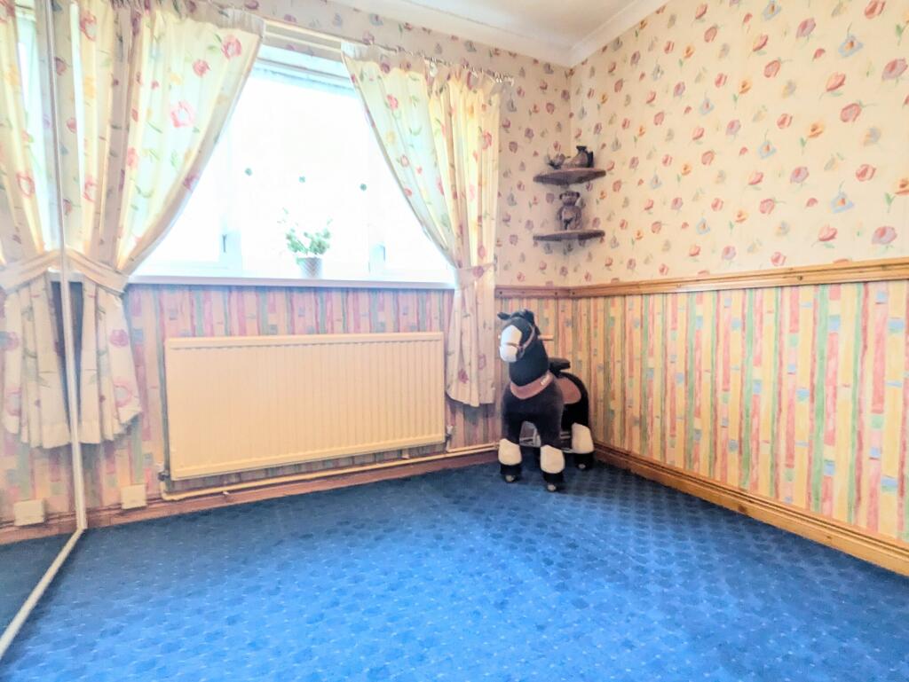 PXL_20250219_110216406~2