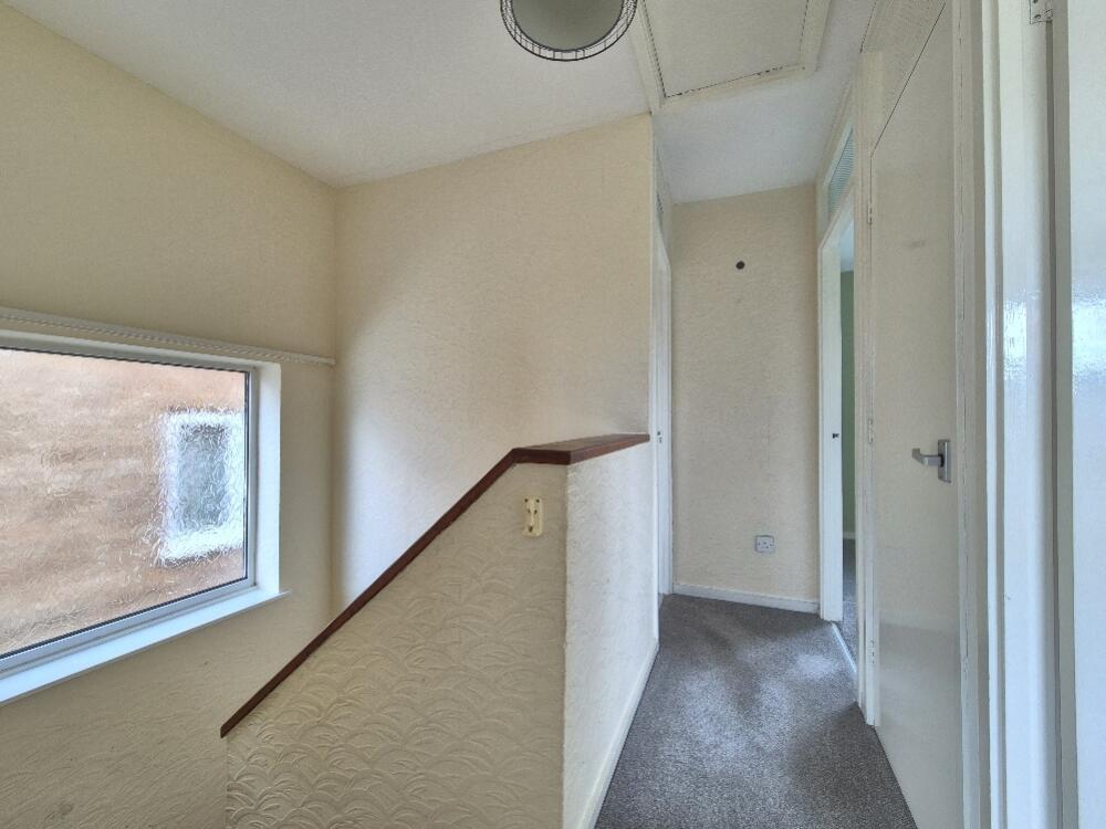 20250728_155108_resized