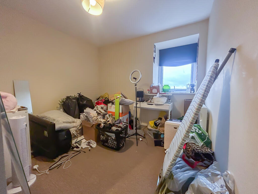 IMG 7113 T202510210947.jpg