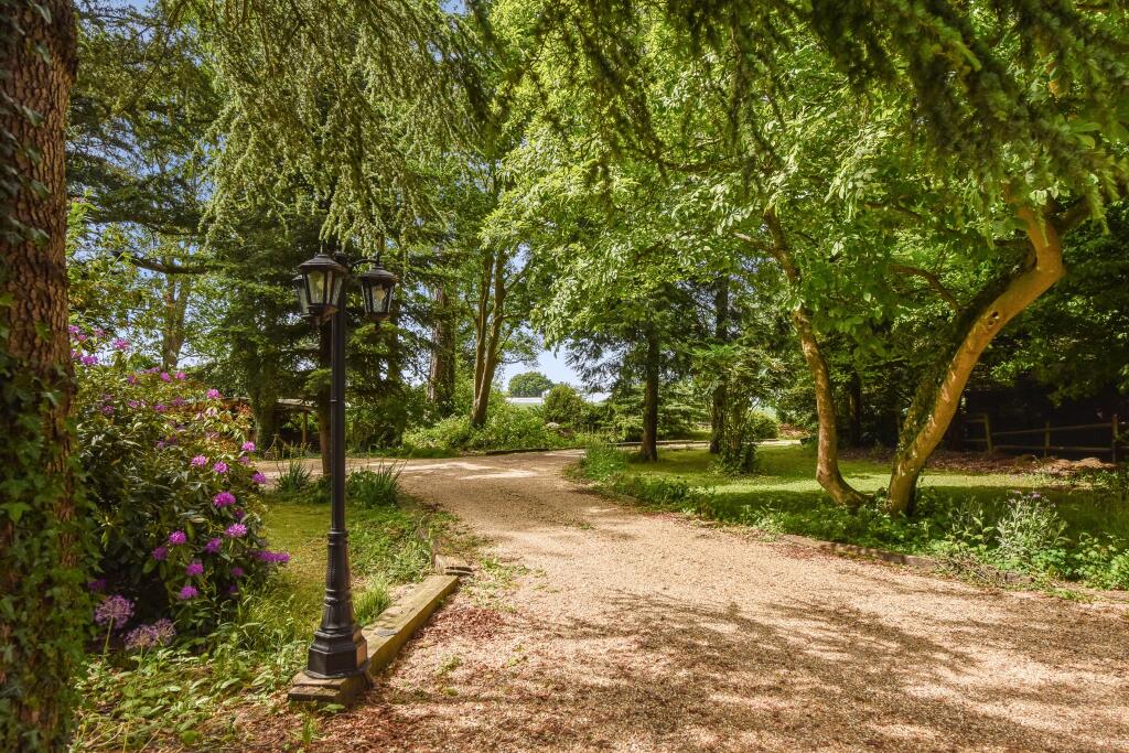 Driveway