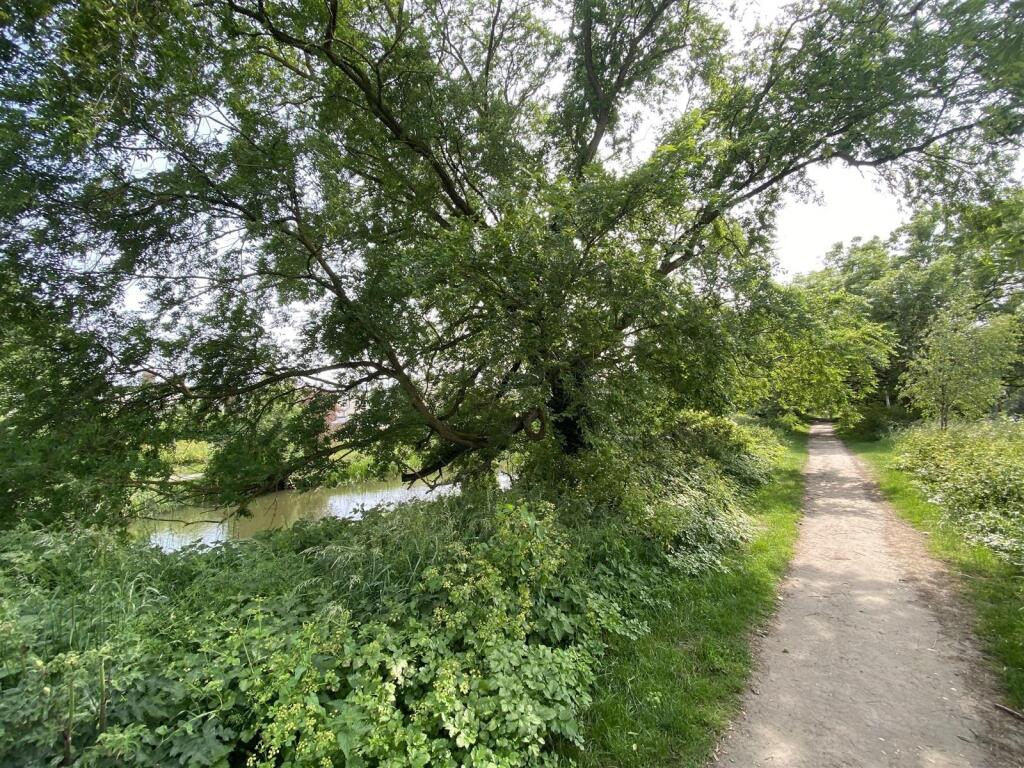 Royal Military Canal