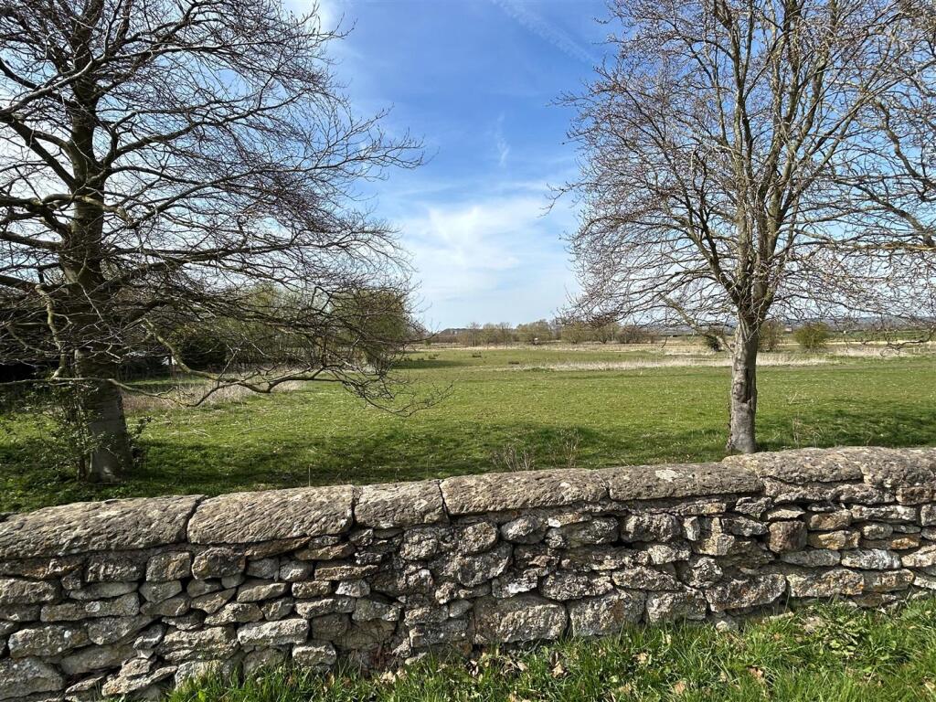 sunny view.jpg