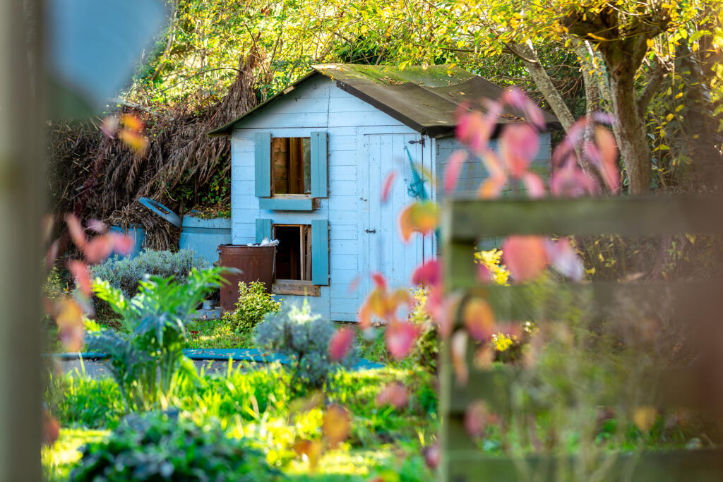 5F8A8246-Enhanced-NR