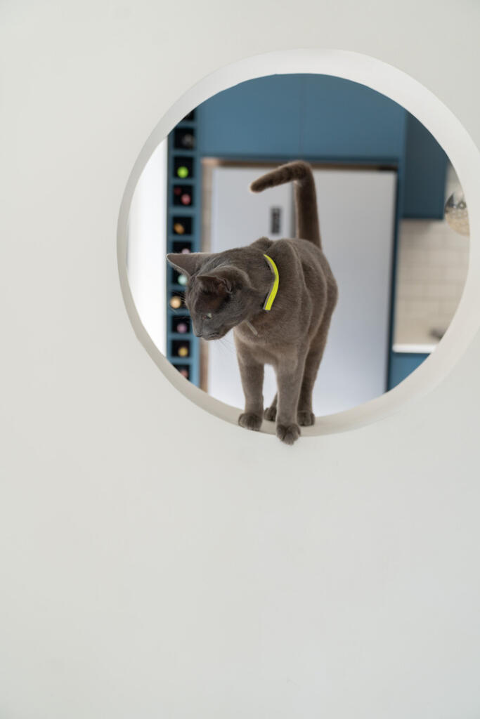 295905 - ST-MARY-ROAD-E17-029.jpg